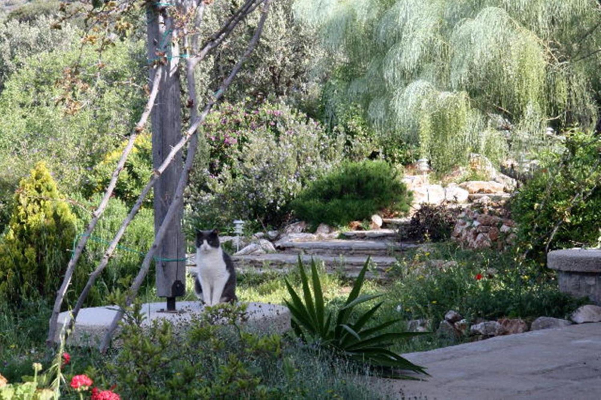 Maison d'hôtes To The Garden à Alikí Extérieur photo